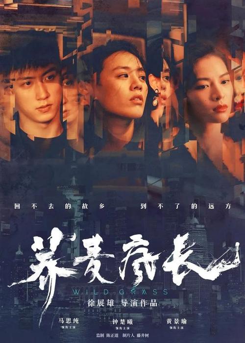 怎么买得克萨斯州出生证明